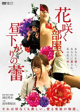 玻璃迷宫电影海报